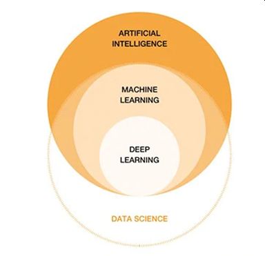 struktura AI oracle