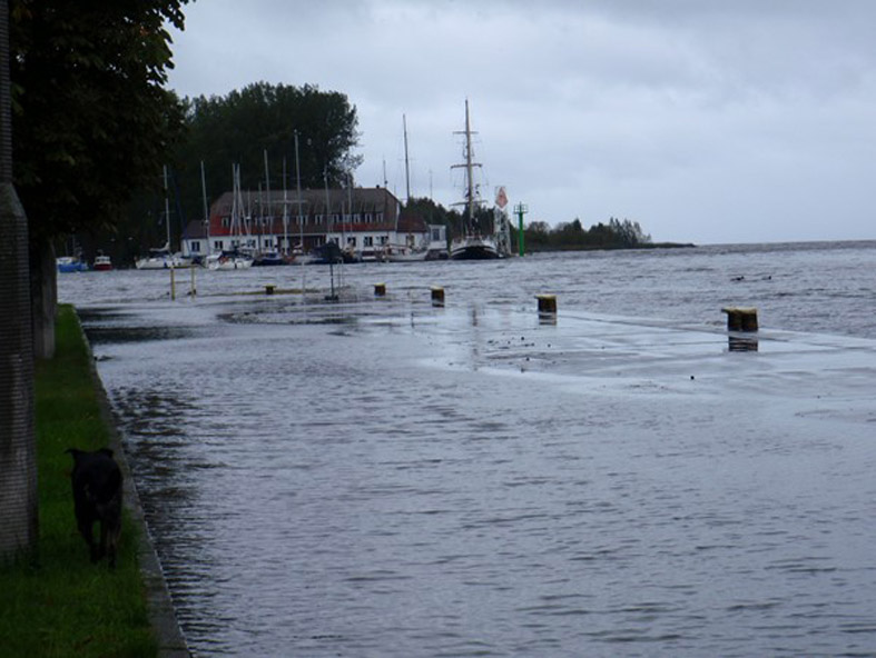 15.10.2009 r., widok na Port Żeglarski w Trzebieży.