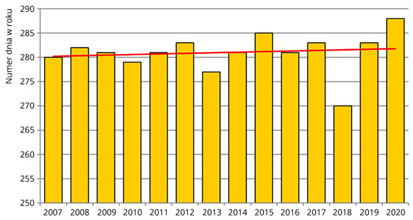 Średnie daty żółknięcia liści brzozy brodawkowatej w Polsce w latach 2007-2020.