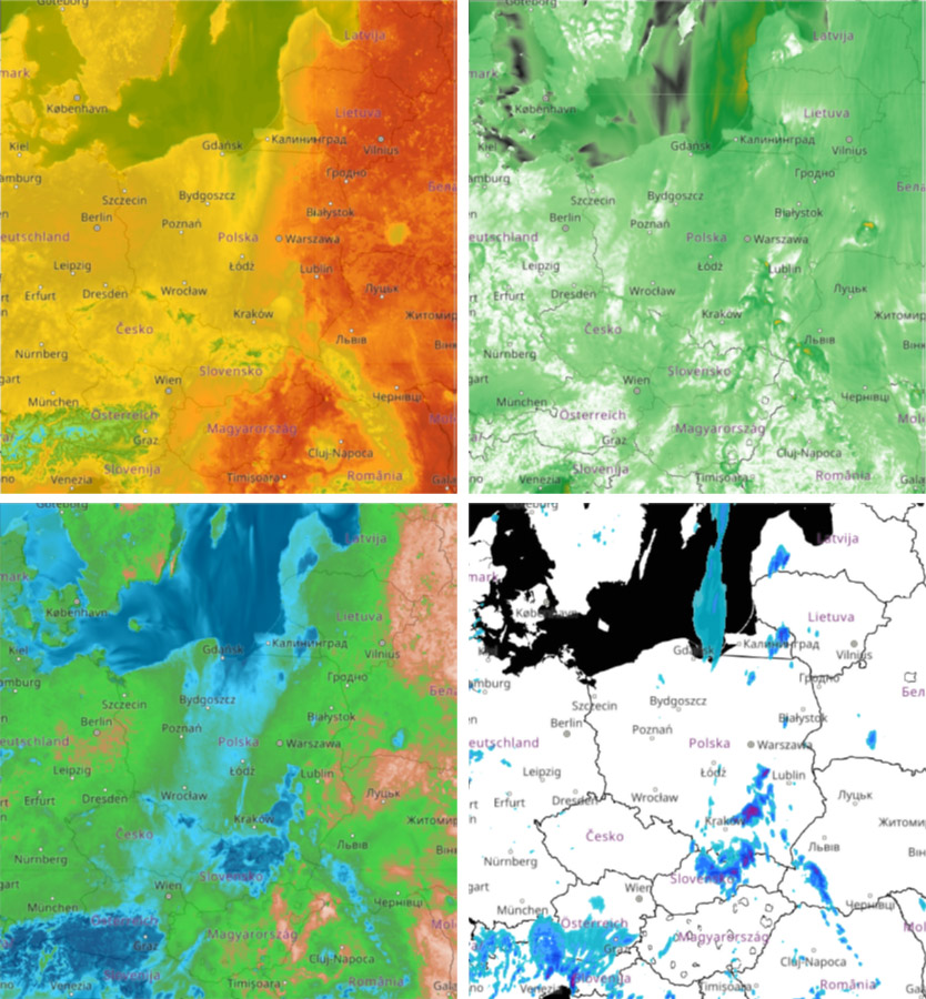 Prognoza modelu COSMO-EULAG na portalu meteo.imgw.pl: temperatura (góra, lewy panel), prędkość wiatru (góra, prawy panel), wilgotność (dół, lewy panel) i opad (dół, prawy panel) na 8 czerwca 2020 r., na godzinę 15.00 UTC.