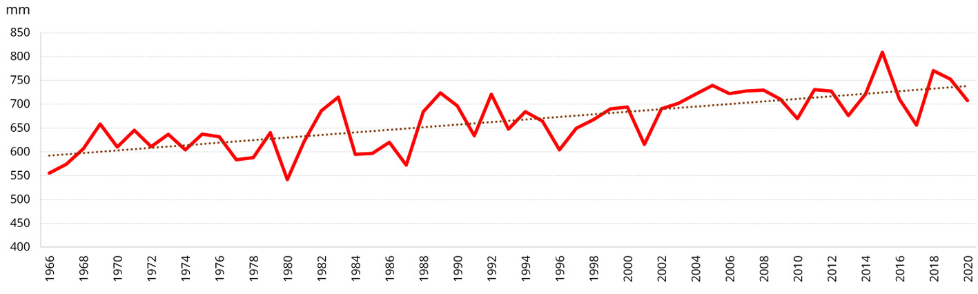Roczne sumy ewapotranspiracji wskaźnikowej w latach 1966-2020 i jej trend – stacja Koło.
