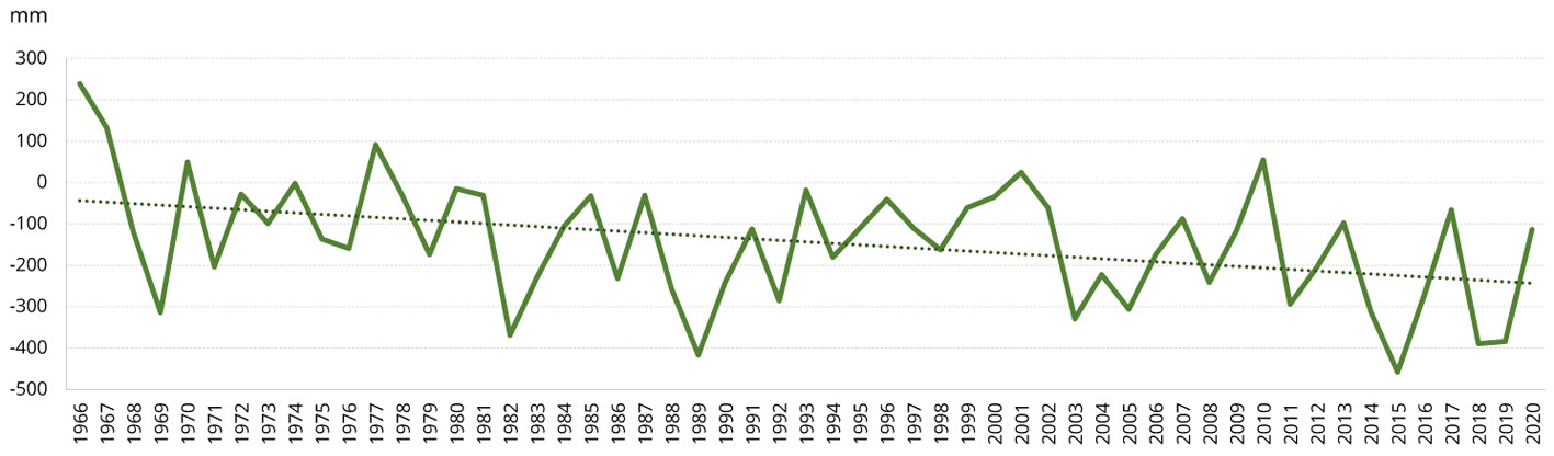 Roczne sumy klimatycznego bilansu wodnego w latach 1966-2020 i jego trend – stacja Koło.