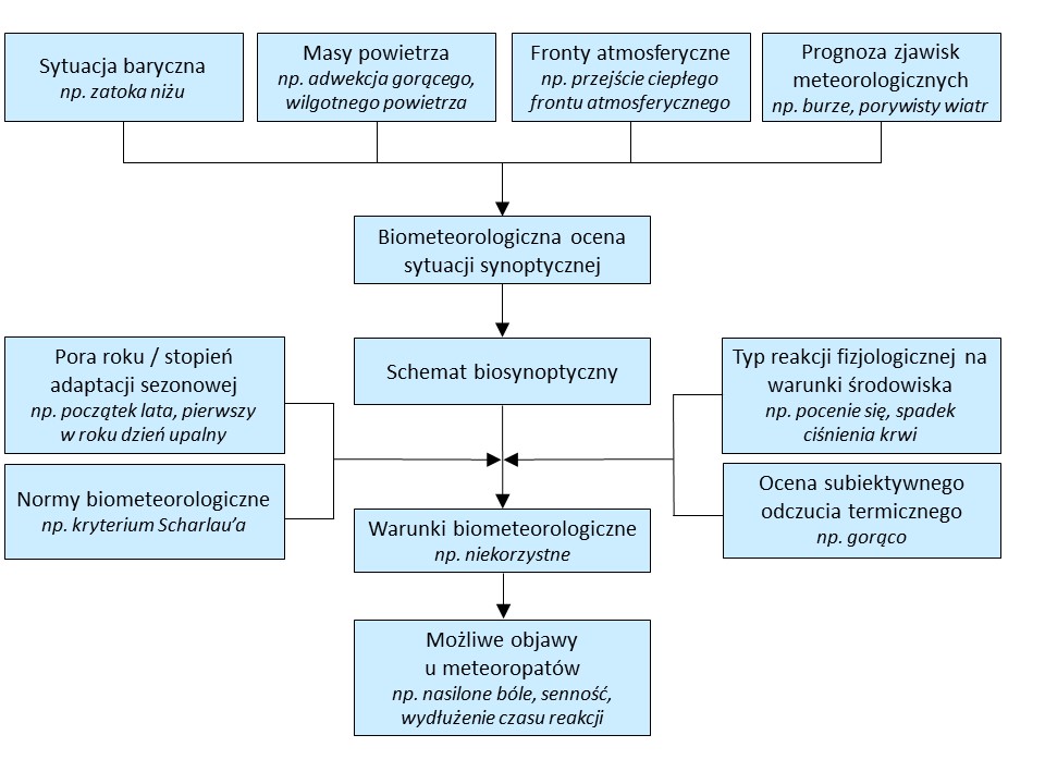 Etapy oceny warunków biometeorologicznych na podstawie schematu M. Baranowskiej.