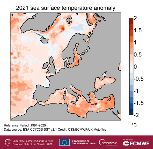 Anomalie średniej rocznej temperatury powierzchni morza (°C) w 2021 r. w odniesieniu do wielolecia 1991-2020.