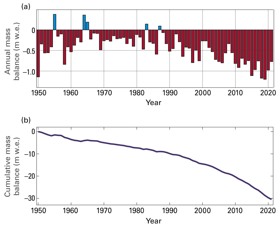 Globalny bilans masy lodowców 1950-2021: a) średni roczny bilans dla zestawu referencyjnego, b) skumulowany bilans od 1950 roku. Źródło: World Glacier Monitoring Service.