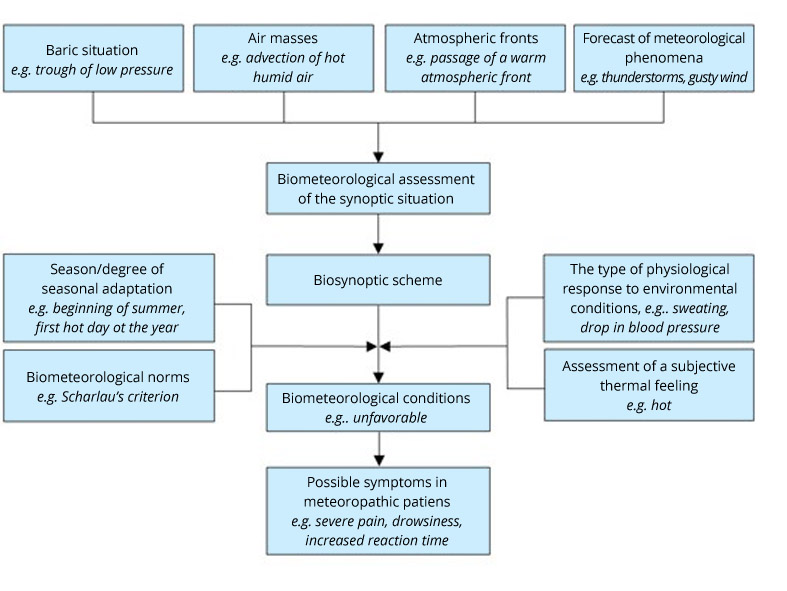Stages of biometeorological conditions assessment based on the diagram of M. Baranowska.