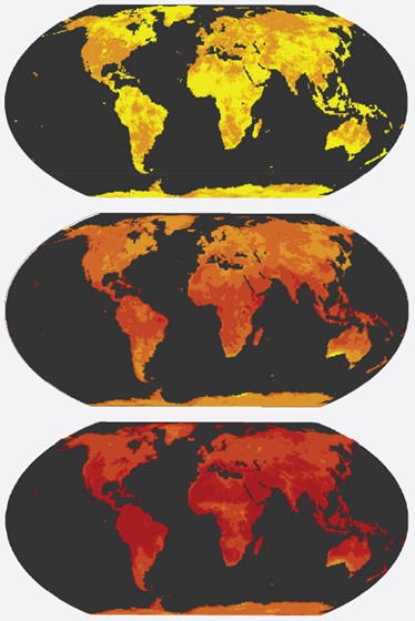 Obszary narażone na zwiększoną częstotliwość fal upałów w 2020 roku (górny panel) oraz w 2050 roku: scenariusz niskich emisji, wzrost średniej temperatury powietrza o 1,7 st. Celsjusza (środkowy panel) i scenariusz wysokich emisji, wzrost średniej temperatury powietrza o 2,4 st. Celsjusza (dolny panel). Kolorem żółtym oznaczono rejony z najmniejszy wzrostem liczby epizodów gorąca, kolorem czerwonych z największym.