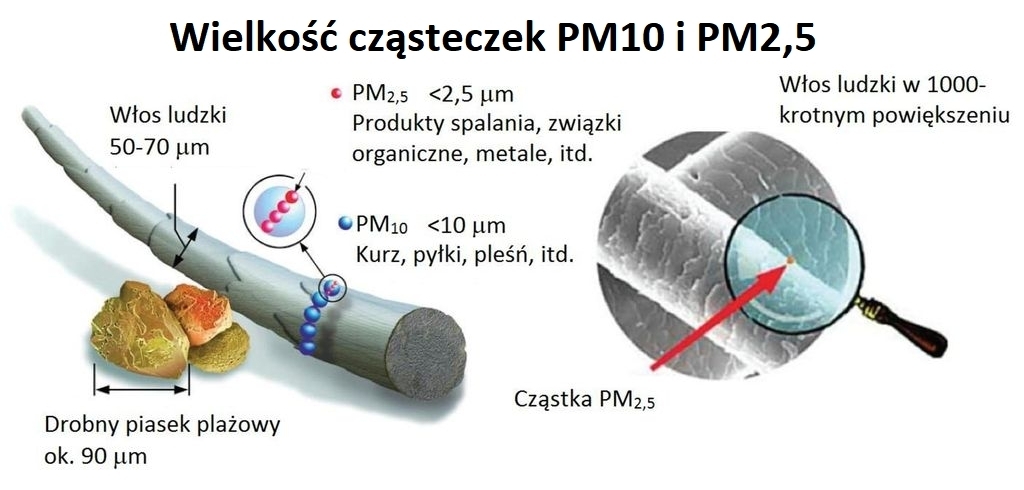 Wielkość cząsteczek pyłu zawieszonego PM10 i PM2,5 (Źródło: https://smog.radom.pl/baza-wiedzy,4,27).