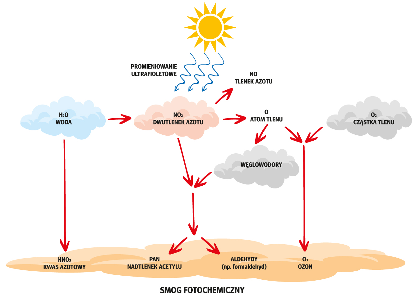 Schemat powstawania fotochemicznego zanieczyszczenia atmosfery.