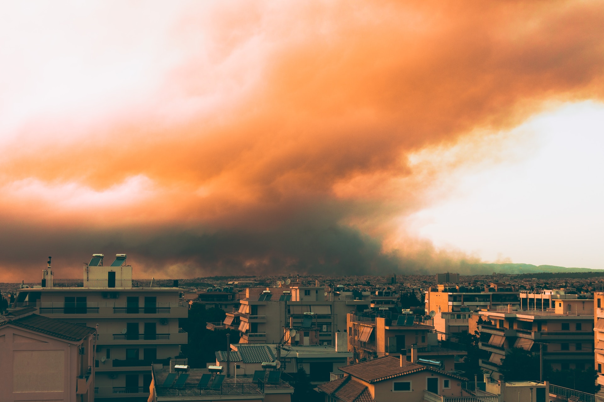 F. Anasmeister on Unsplash