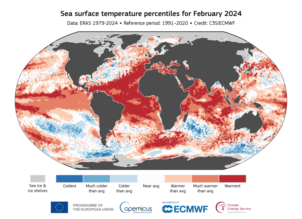 Anomalie temperatury powierzchni oceanów (SST) w lutym 2024 roku.