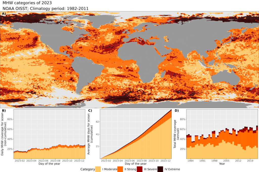 Mapa przedstawiająca rozkład przestrzenny poszczególnych kategorii morskiej fali upałów w roku 2023. Kolor jasnoszary oznacza, że w danym pikselu przez cały rok zjawisko nie wystąpiło. Na wykresie (b) pokazano skumulowany udział powierzchni oceanu, na których występowała morska fala upałów. Na wykresie (d) przedstawiono skumulowany całkowity procent powierzchni oceanu, który doświadczył morskiej fali upałów od 1982 roku do chwili obecnej.