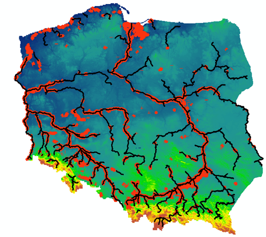 Sieć rzeczna modelu IMGW-HD (kolor czarny) oraz lokalizacja wałów przeciwpowodziowych (kolor czerwony).