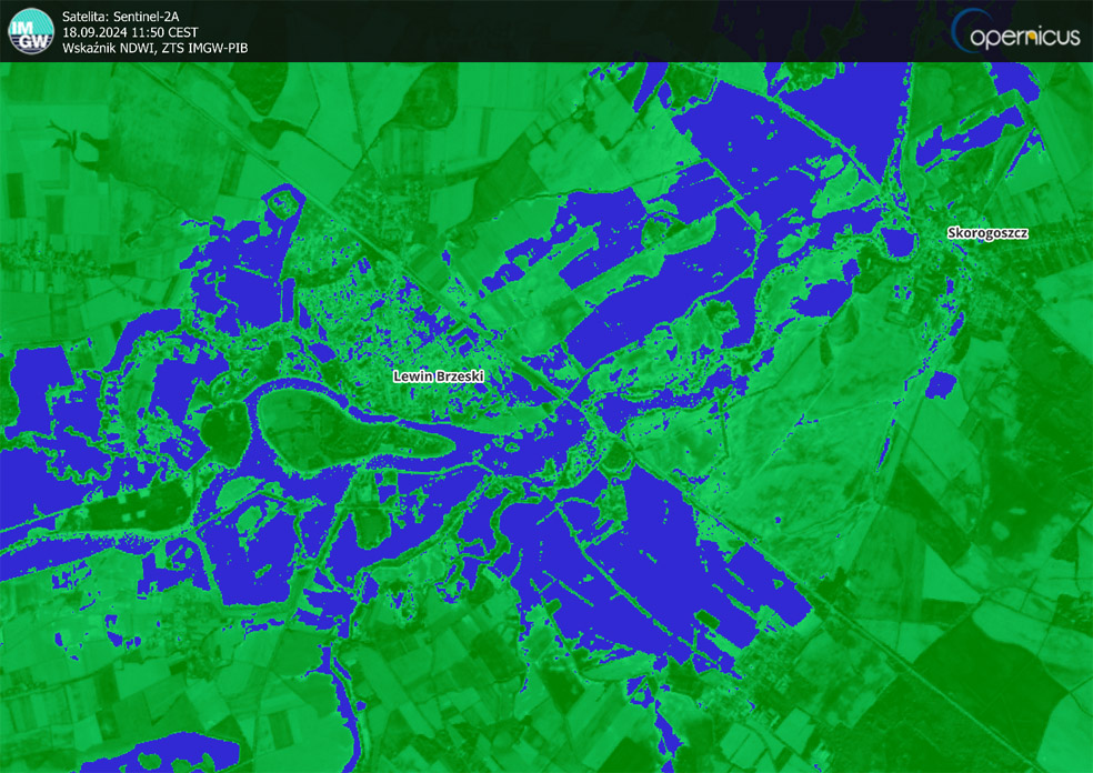 Ten sam obszar na zobrazowaniu NDWI (Normalized Difference Water Index), które szczególnie dobrze nadaje się do identyfikacji obszarów zalanych wodą. Indeks ten bazuje na różnicy odbieranego promieniowania w kanele B8 (bliska podczerwień) i kanele B3 (odpowiadającemu kolorowi zielonemu). Wysokie wartości NDWI wskazują na obecność wody, co pozwala na określenie zasięgu zalania.