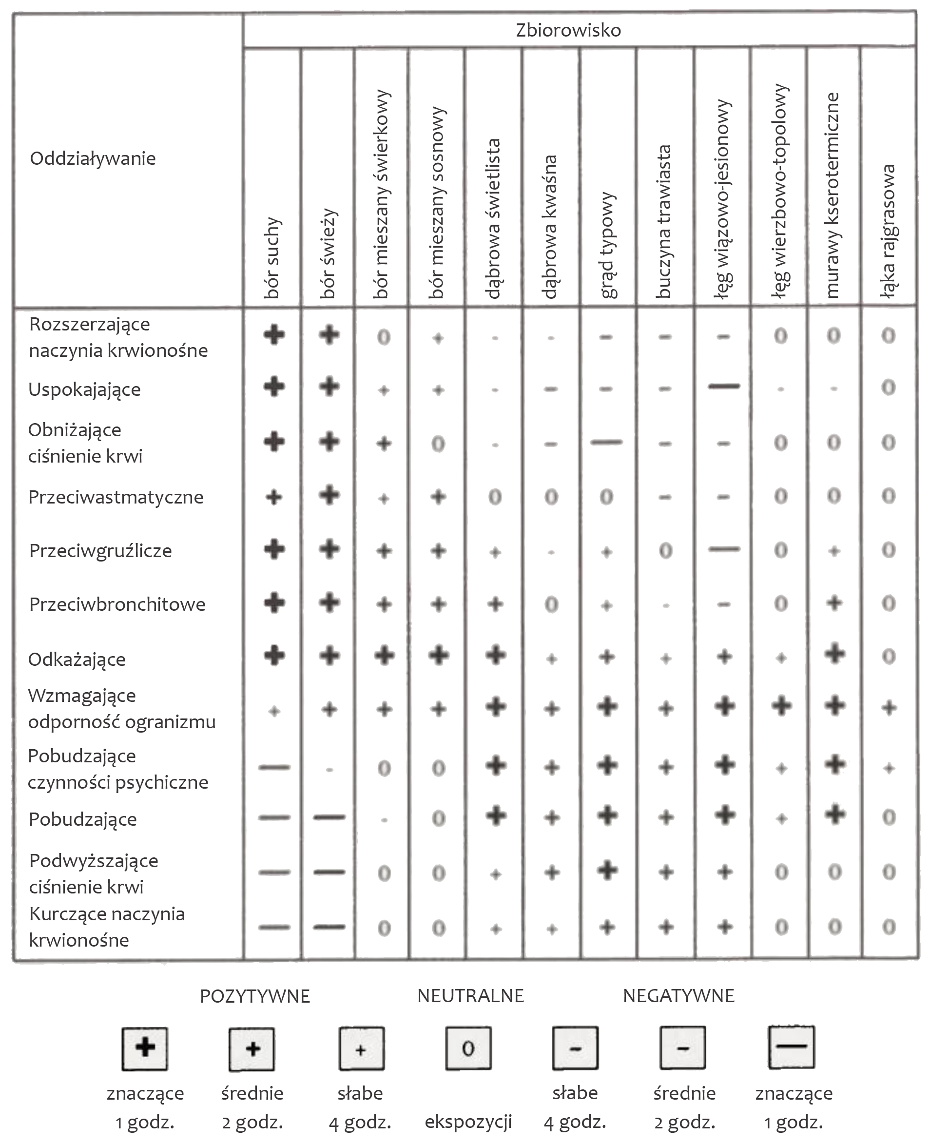 Pod zielonym baldachimem