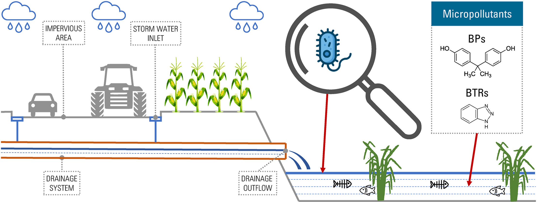 Niewidoczne zagrożenie w wodach zlewni rolniczej