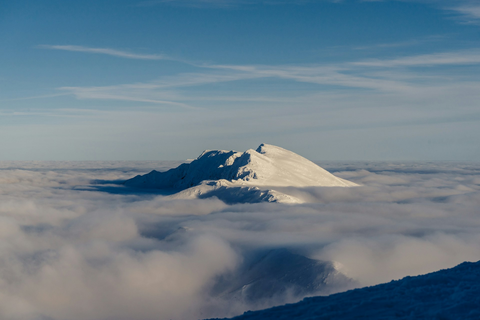 F. Ostap Senyuk on Unsplash.