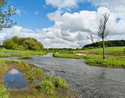 F. Ilona Biedroń / Efekt renaturyzacji górnego odcinka rzeki Avon z odradzającą się roślinnością w podmokłej dolinie rzeki.