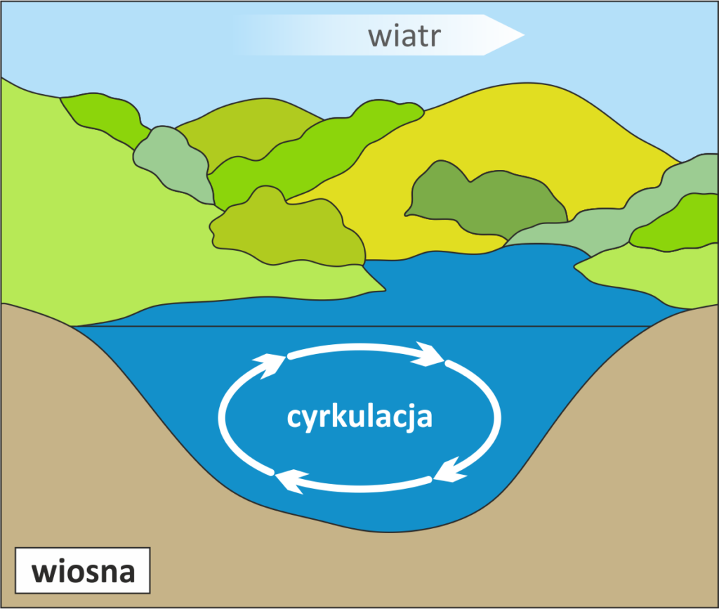 Cyrkulacja wiosenna prowadzi do homotermii wiosennej