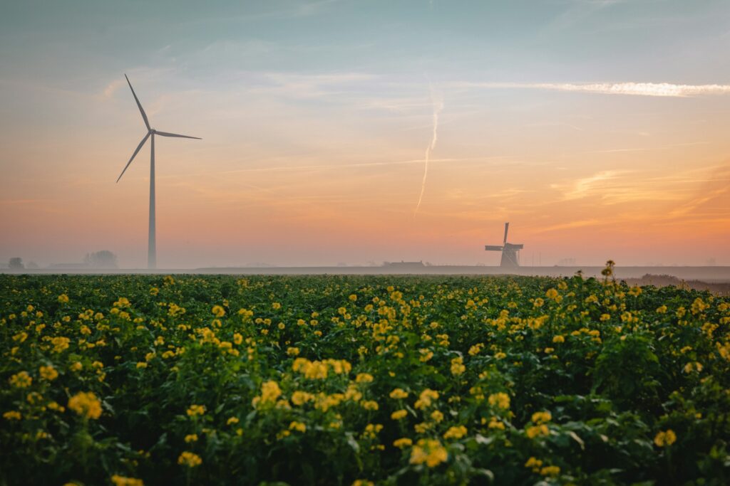 F. Tim van der Kuip/Unsplash