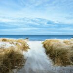 F. Alexander Henke/Unsplash