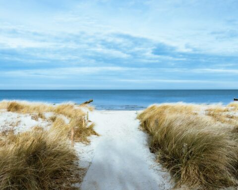 F. Alexander Henke/Unsplash