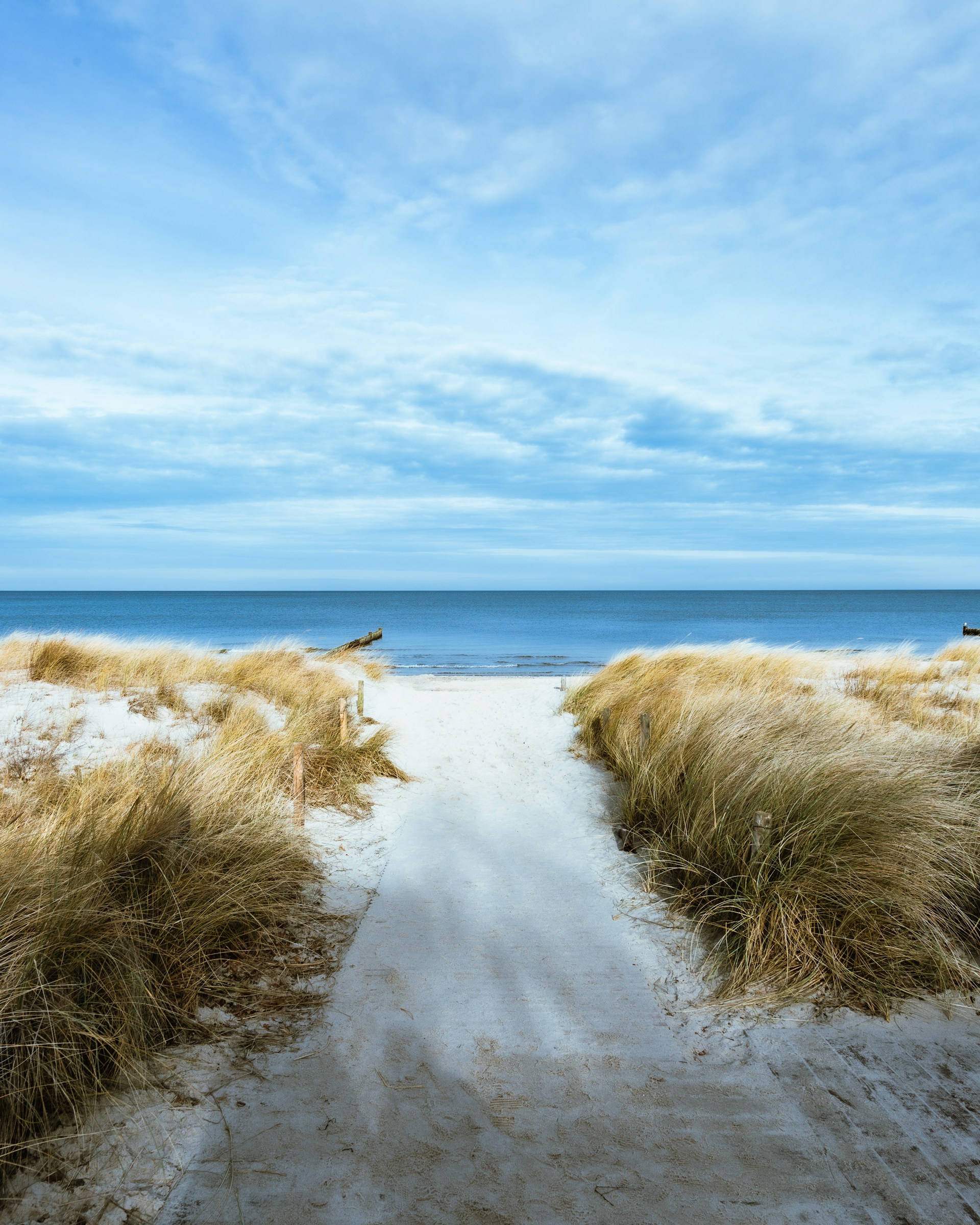 F. Alexander Henke/Unsplash