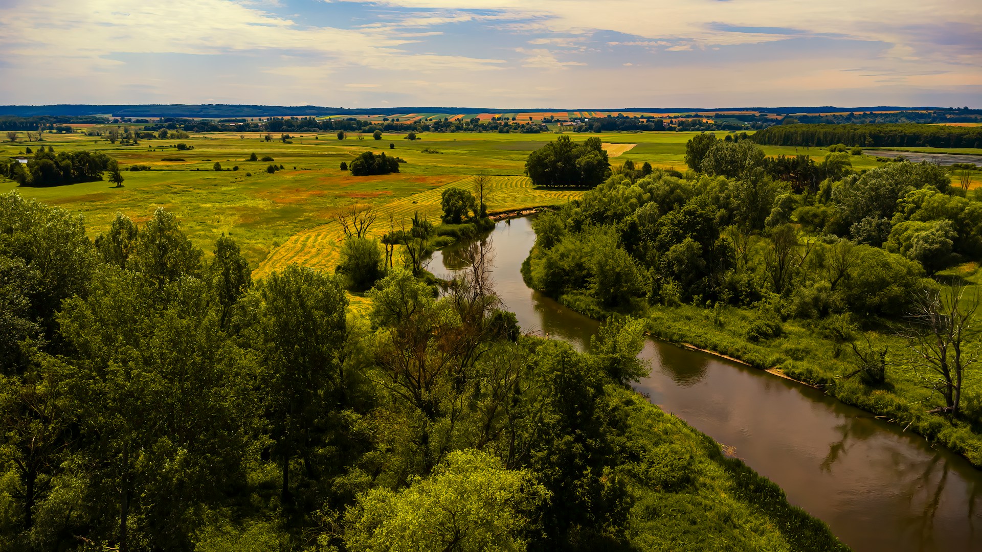 F. Maciej Cisowski/Unsplash