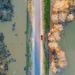 F. Justin Wilkens/Unsplash