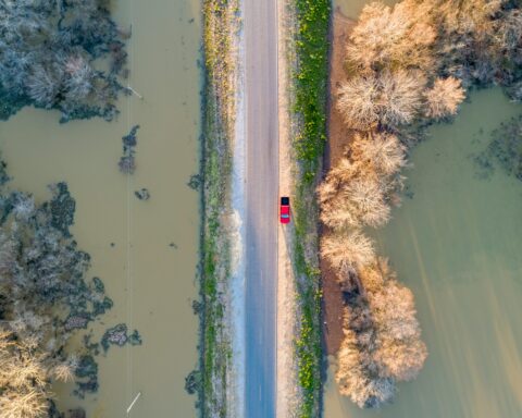 F. Justin Wilkens/Unsplash