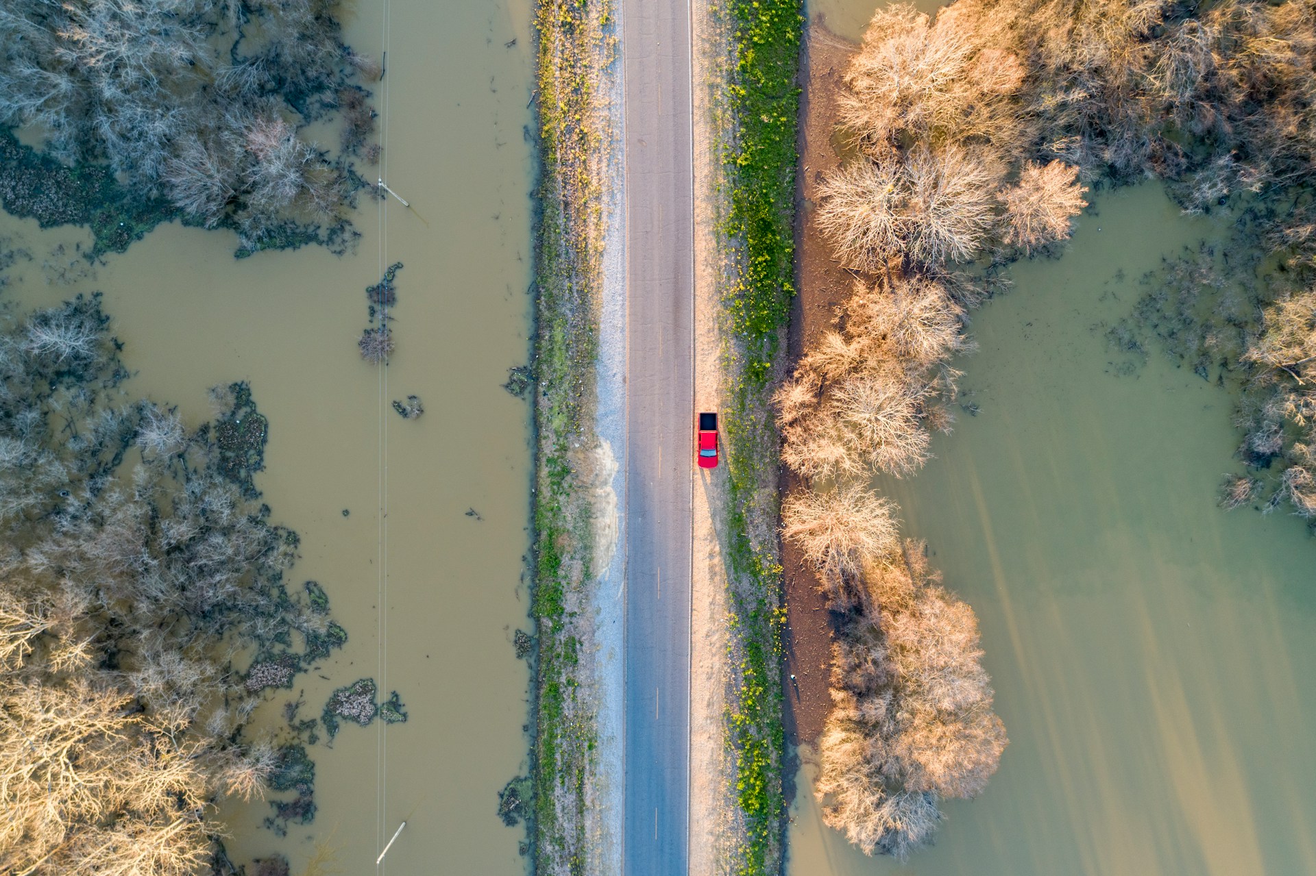 F. Justin Wilkens/Unsplash