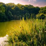 F. Amine Jandoubi/Unsplash.