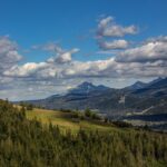 F. Anna/Unsplash