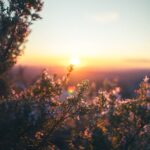 F. Chanbora Chhun/Unsplash.