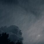 F. Grinko/Unsplash.