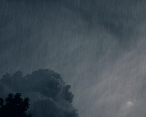 F. Grinko/Unsplash.