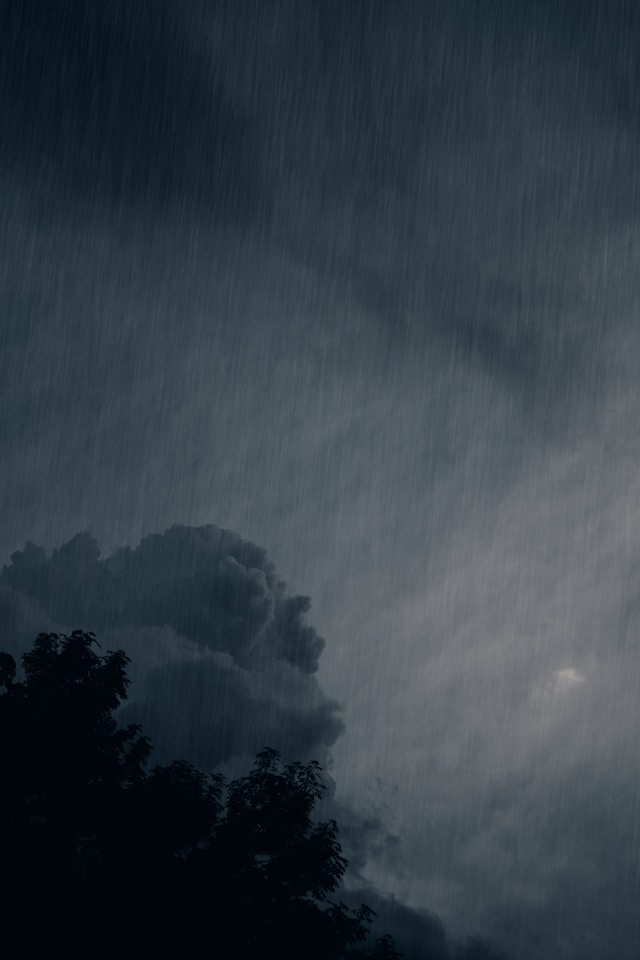 F. Grinko/Unsplash.