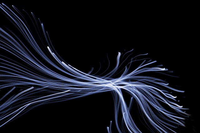 F. Mariola Grobelska/Unsplash.