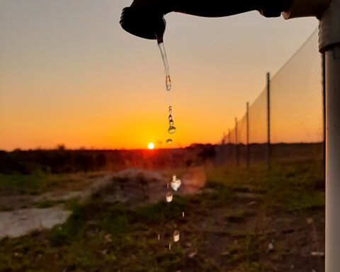 F. Lusinio Serrano/Unsplash.