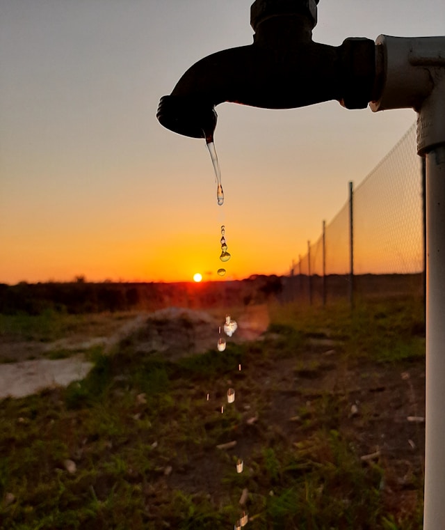 F. Lusinio Serrano/Unsplash.