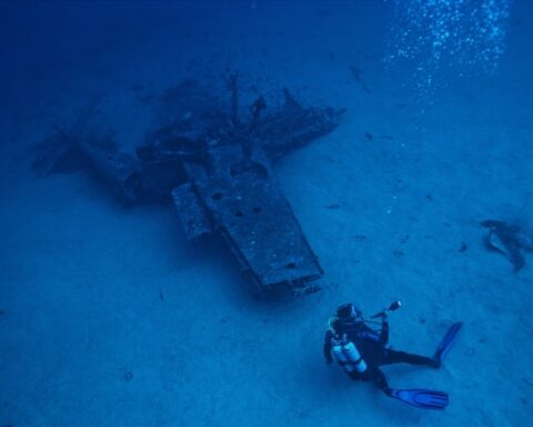 F. Mael Balland/Unsplash.