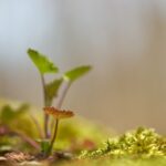 F. Wolfgang Hasselmann/Unsplash.