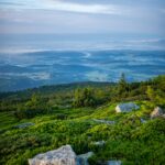 F. Monika Guzikowska/Unsplash.