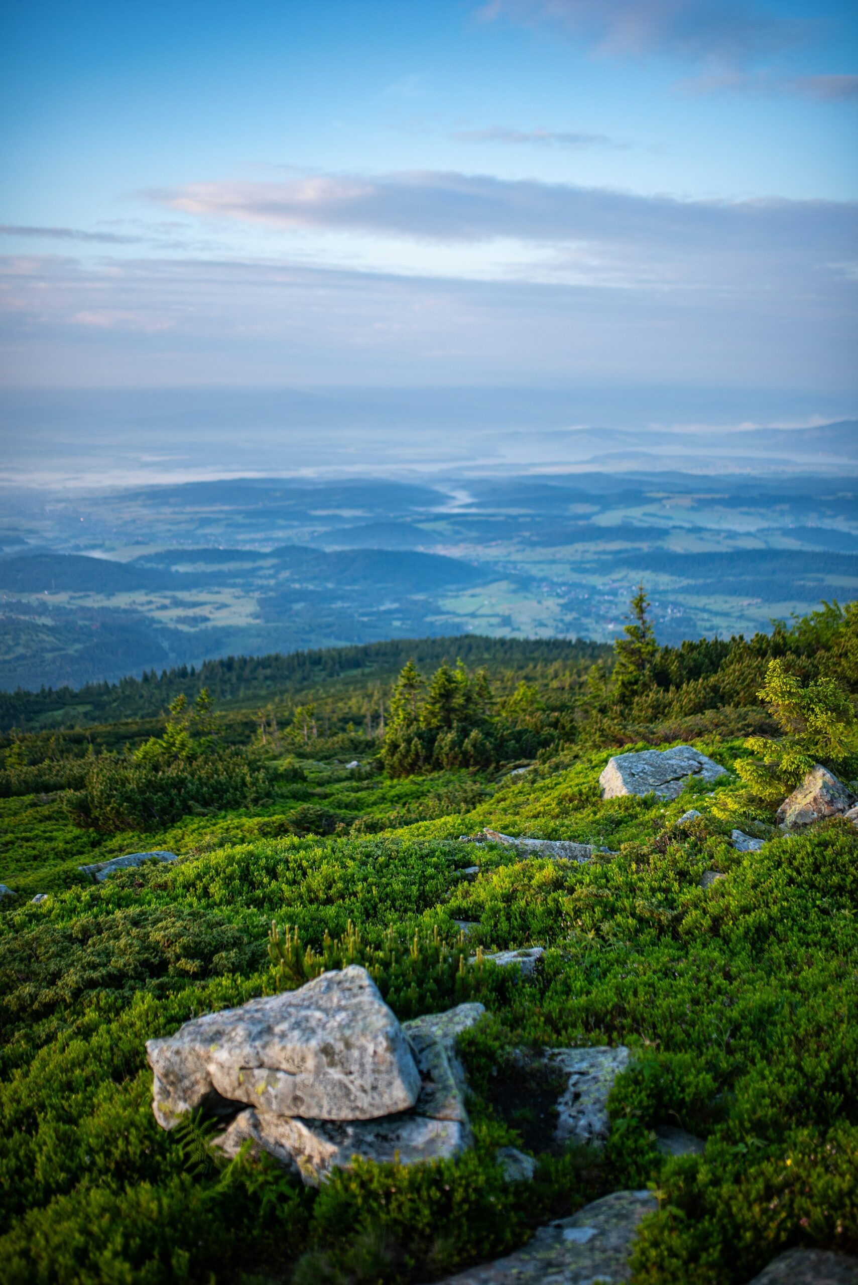 F. Monika Guzikowska/Unsplash.