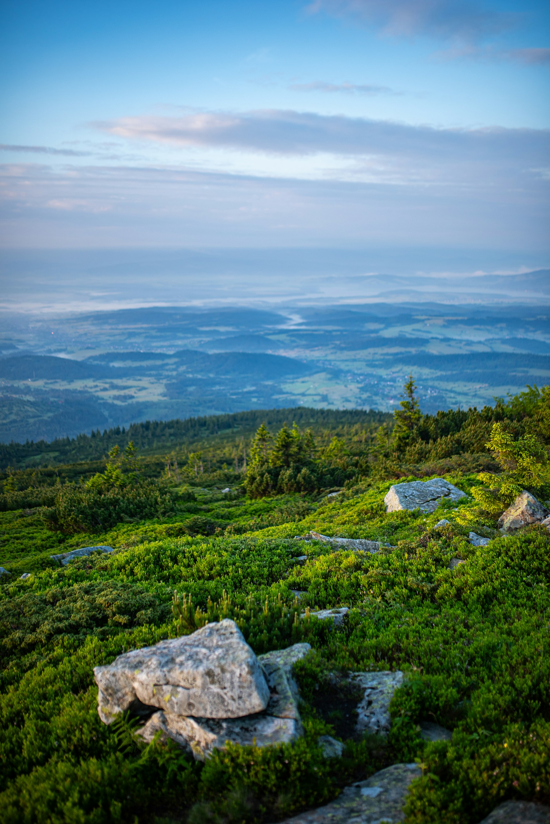 Klimat w Polsce w 2025 roku – podsumowanie wybranych elementów
