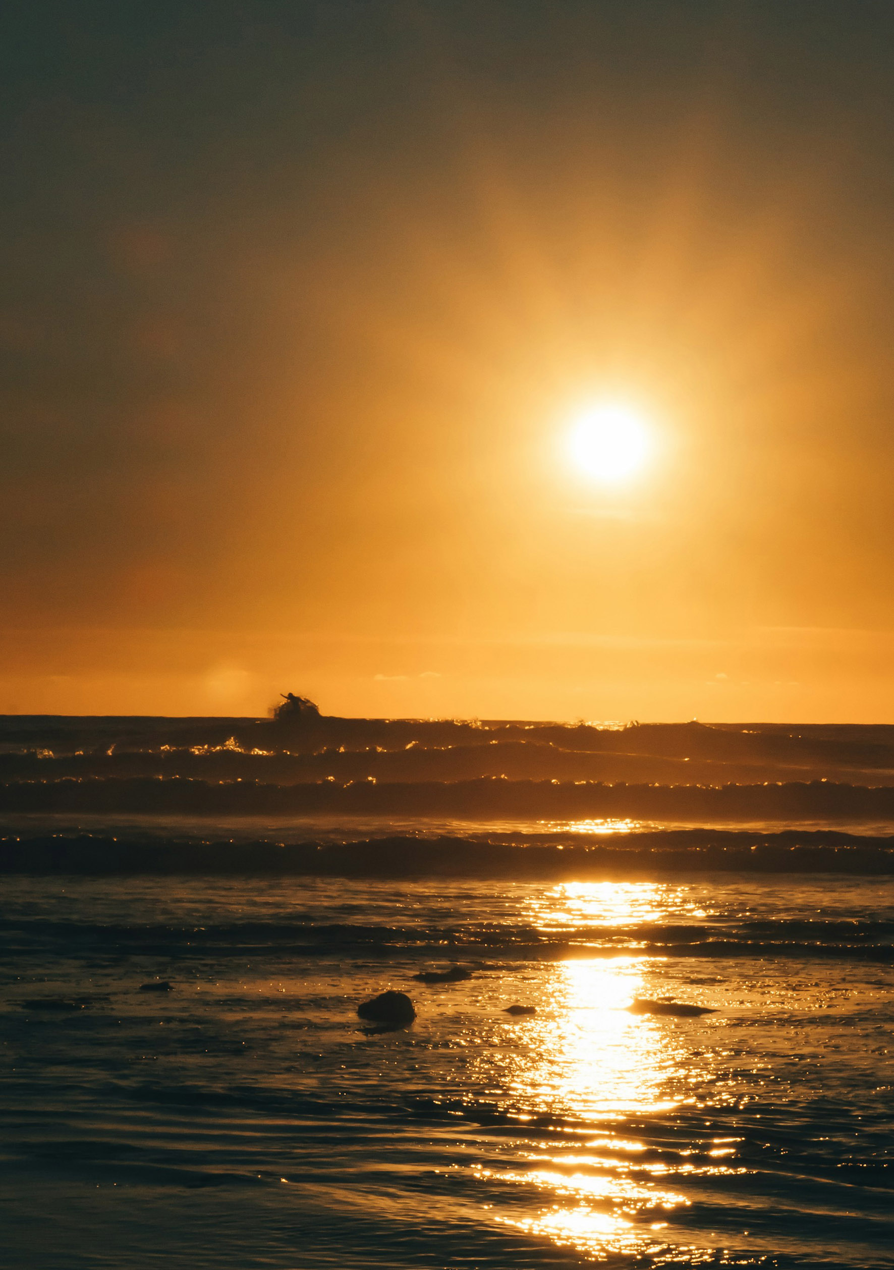 F. Steven Wilcox/Unsplash.