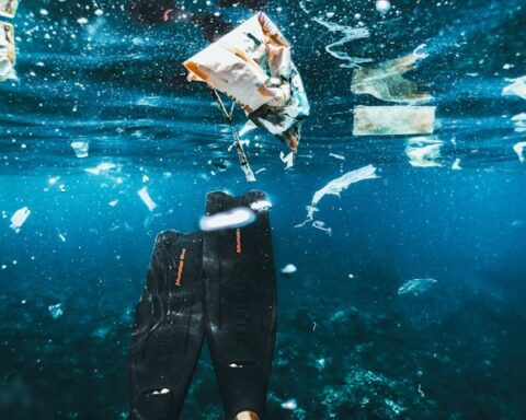 F. Naja Bertolt Jensen/Unsplash.