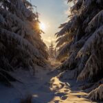 F. Przemysław Olczak/Unsplash.