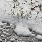 F. Doug R.W. Dunigan/Unsplash.