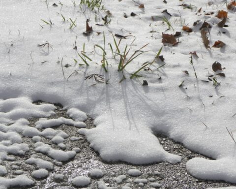 F. Doug R.W. Dunigan/Unsplash.